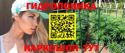 сатива Лесосибирск