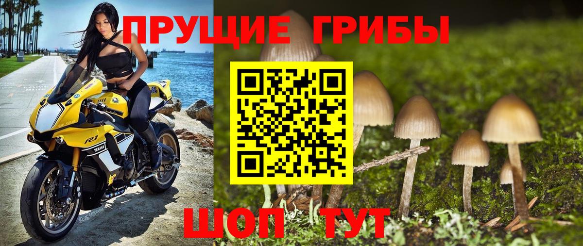 Галлюциногенные грибы Psilocybe Ижевск