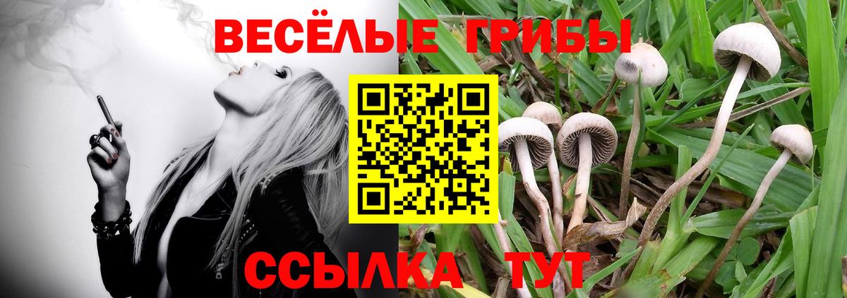 Псилоцибиновые грибы мицелий  Вход с VPN  закладки  Псилоцибиновые грибы MAGIC MUSHROOMS  Ижевск 